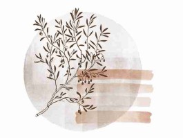 每日热榜：每日大赛吃瓜幕后黑手曝光